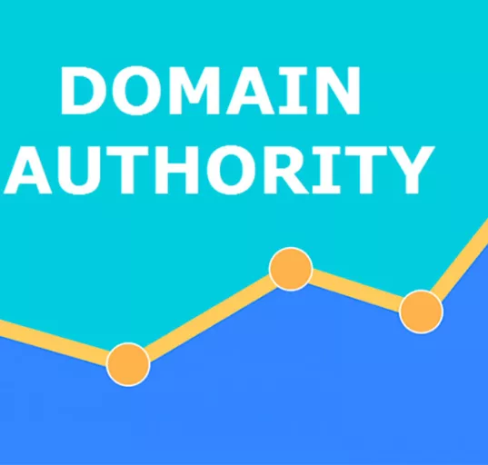 domain autorithy